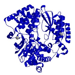 Image of CATH 5f41