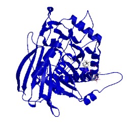Image of CATH 5fan