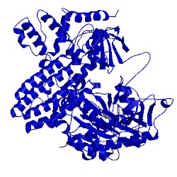 Image of CATH 5fbs