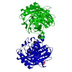 Image of CATH 5fbz