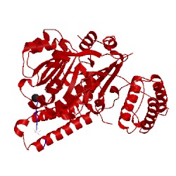 Image of CATH 5fc2