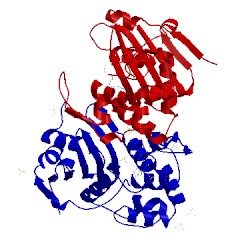 Image of CATH 5fdh