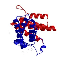 Image of CATH 5fe6