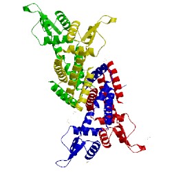 Image of CATH 5ffx