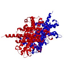 Image of CATH 5fia