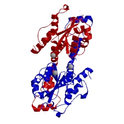 Image of CATH 5fis