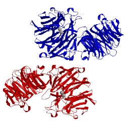 Image of CATH 5fkt