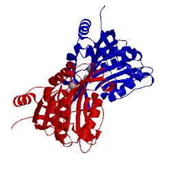 Image of CATH 5flg