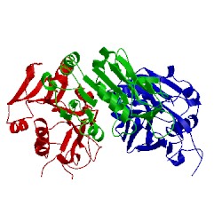 Image of CATH 5fms