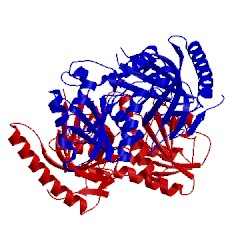 Image of CATH 5fo0