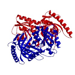 Image of CATH 5fo1