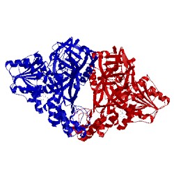 Image of CATH 5fpt