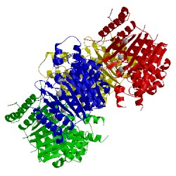 Image of CATH 5fue