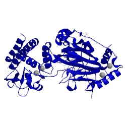 Image of CATH 5fy5