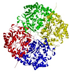 Image of CATH 5g09