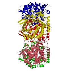 Image of CATH 5g1w