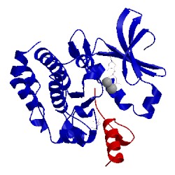 Image of CATH 5g1x