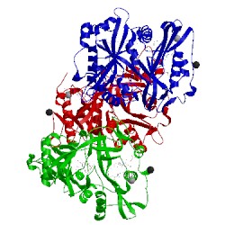 Image of CATH 5g1z