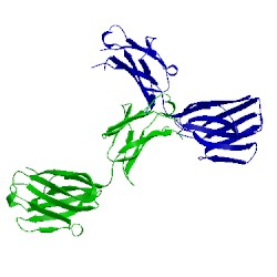 Image of CATH 5ggr