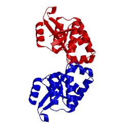 Image of CATH 5gkk