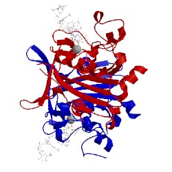 Image of CATH 5gkp