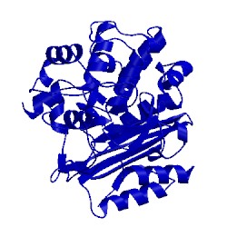 Image of CATH 5gkv