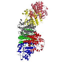 Image of CATH 5gl3