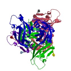 Image of CATH 5glf