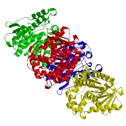 Image of CATH 5gmr