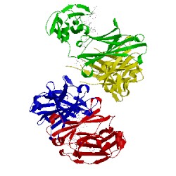 Image of CATH 5gsq