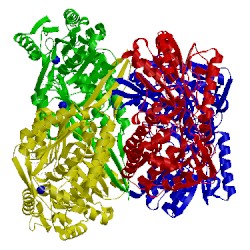 Image of CATH 5gtl