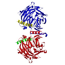 Image of CATH 5h14