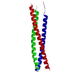 Image of CATH 5h1x