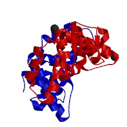 Image of CATH 5h4h