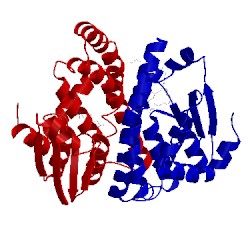 Image of CATH 5h5l