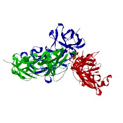 Image of CATH 5hdl