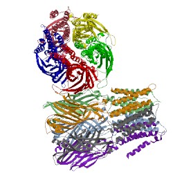 Image of CATH 5heo