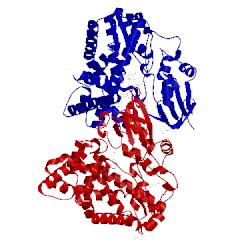 Image of CATH 5hh3