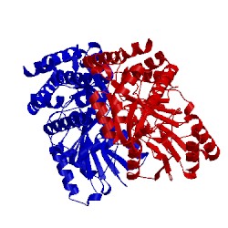 Image of CATH 5hh9