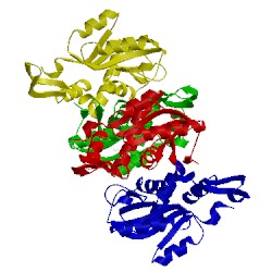 Image of CATH 5hki