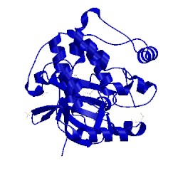 Image of CATH 5hkm