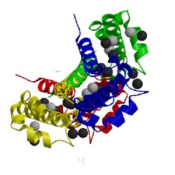 Image of CATH 5hlo