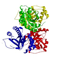 Image of CATH 5hpi