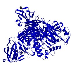 Image of CATH 5hpo