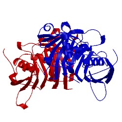 Image of CATH 5hst