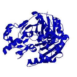 Image of CATH 5htp