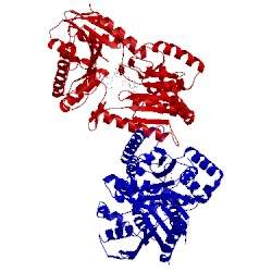 Image of CATH 5hvm