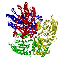 Image of CATH 5hw0