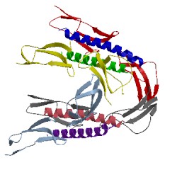 Image of CATH 5hyt