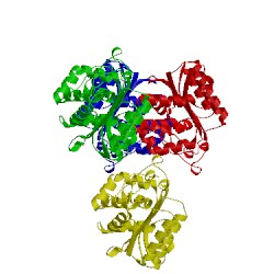 Image of CATH 5i52